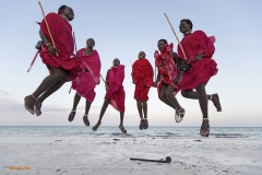 salice-francesca-masai-dance